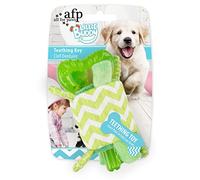 ALL FOR PAWS - AFP4214 - Jouet pour Chiots - Little Buddy Clé - Vert