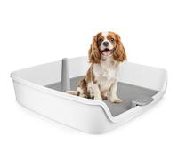 All For Paws Bac de toilette d'intérieur pour chien avec poteau amovible et mur de protection, 63 x 63 cm, grande grille en maille avec colonne amovible, toilette pour chiot pour apprentissage de la