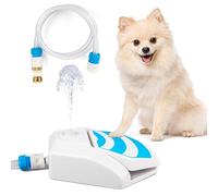All For Paws Fontaine à eau pour chien, arroseur de patte activée par les pattes, fontaine à eau extérieure pour boire du chien, distributeur d'eau à pédale pour animaux de compagnie