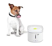 ALL FOR PAWS Lifestyle The Purefect Fontaine à Eau pour Animal Domestique 0,11 kg