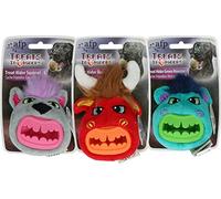 ALL FOR PAWS Treat In'V'hiders Jouet pour Chien Taille S 90 g