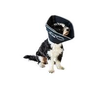 All Four Paws, The Comfy Cone, la collerette de protection confortable pour animal domestique