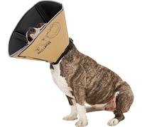 All Four Paws, The Comfy Cone, la collerette de protection confortable pour animal domestique