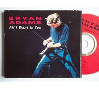All I Want is (1991, Plus 'Long Gone, Run to You [Live]')