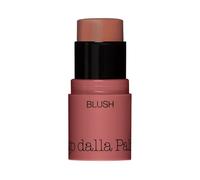 All In One Blush 44 Diego Dalla Palma 4g