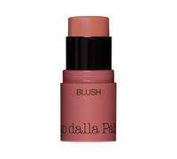 All In One Blush 45 Diego Dalla Palma 4g