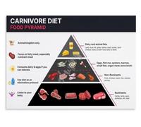 All Meat Diet Poster Carnivore Lifestyle Visual