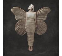 All My Démons Greeting Me As a Friend