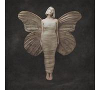 All My Démons Greeting Me As a Friend