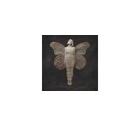 All My Demons Greeting Me As A Friend CD