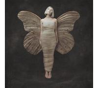 All My Demons Greeting Me As A Friend Vinyle