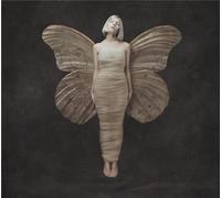 All My Demons Greeting Me As A Friend - Vinyle 33 Tours