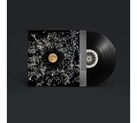 All of This Is Chance