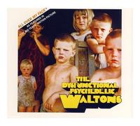 Dysfunctional Psychedelic Waltols - All Over My Face