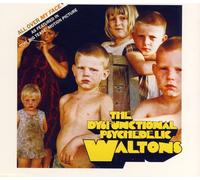 Dysfunctional Psychedelic Waltols - All Over My Face