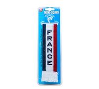 All Ride 871125213222 Mini Echarpe France