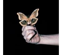 All Systems Are Lying