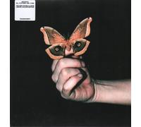 Vinyle LP Universal All Systems Are Lying Édition Limitée Collector Double Vinyle Transparent