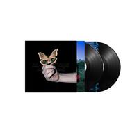 All Systems Are Lying Vinyle