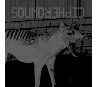 All That Syncs Must Diverge