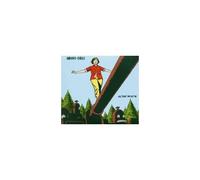 All That We Let In By Indigo Girls Cd Condition Acceptable Dvd