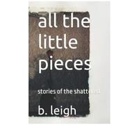 All The Little Pieces: Stories Of The Shattered