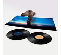 All the Right Noises