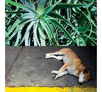 All The Things That Happen-Vinyle 180 GR