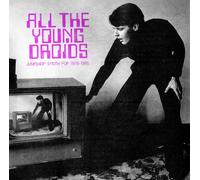 All The Young Droids Junkshop Synth Pop 1978 1985/ Mirror Board/Crystal Clear Vinyl/Bonus Poster