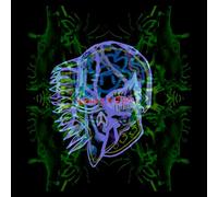 All Them Witches - Nothing As the Ideal - Mintgreenblue Vinyl