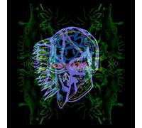 Nothing As The Ideal Édition Limitée Vinyle Vert et Bleu