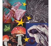 Various Artists - All Things Considered Vol.2 (Various Artists) [Vinyl Lp]