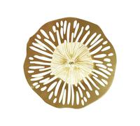 Allayu Décoration Murale en Fer forgé, Disque irrégulier, Fond Unique et élégant, pièce d'art Durable pour, Plaque métallique décorative pour Maison de Campagne Bureau, M