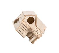 Allayu Habitat pour petits animaux avec maison en bois pour petit hamster, échelle extérieure conçue comme un labyrinthe pour l'activité quotidienne des animaux de compagnie actifs. Convient également