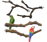 Allazone 4 PCS Perchoir Perroquet, Jouets Oiseaux en Bois, Jouet à Suspendre pour Perroquet, Bois Pieds Perchoirs, Balançoires, Échelles, Perché
