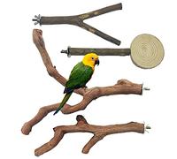Allazone Lot de 4 perchoirs à oiseaux en bois naturel pour perroquet, perchoir, perchoir, plate-forme, accessoires pour perroquets, perruches, perroquets