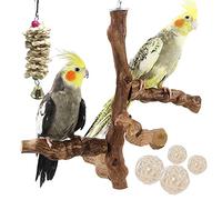 Allazone Lot de 6 perchoirs à Oiseaux naturels avec Jouets à mâcher en Vigne Naturelle pour perroquets, perruches, calopsittes, Conures, aras, inséparables
