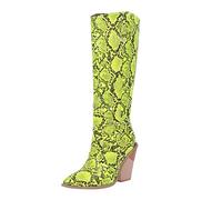 Allbestop Bottes pour Femme, Bottes Cuissardes Femme Talon Aiguille Genou Hautes Hiver Punk à Talons Compensé pour Cuir de Securite(Vert,38)