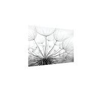 ALLboards Plaque de Protection en Verre Trempé Universel et Multifonction - 2 pièces 52x30cm Style Pissenlit Dent-de-Lion, Planche à Découper, Plateau en Verre