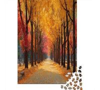Allée du Parc d'automne bordée de Grands ginkgos aux Feuilles doréesPuzzles 1000 Pièces pour Adultes, Jeux ÉduChatifs, Décoration D'intérieur38x26cm/1000pcs