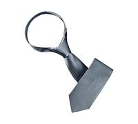 Allegra K Cravates décontractées formelles classiques de couleur unie cravate d'affaires brillante pour hommes Gris foncé One Size