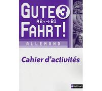 Allemand Gute Fahrt ! 3 Niveau A2+/B1 by Bernardy, Jean-Pierre (2013) Paperback