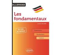 Allemand, les fondamentaux: Grammaire, vocabulaire, culture