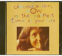 Allen,Daevid - Now is The Happiest Time of Yo [Import]