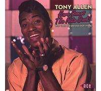 Allen, Tony - Here Comes the Nite Owl!