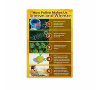 Allergy Season Pollen Chart Guide Informative Poster Wall-Art Print for Home Office School Clinic Waiting Room(Unframed,16x24inch(40x60cm))