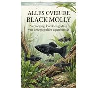 Alles over de Black Molly: Verzorging, kw n gedrag van deze populaire aquariumvis