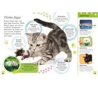 Alles Über Deine Katze