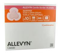 Allevyn Gentle Border Multisite Pansement Adhésif Souple Très Absorbant 10 Pièces (66800959)