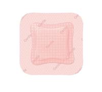 Allevyn Gentle Border Pansement Hydrocellulaire Adhésif 8x8cm 16 unités